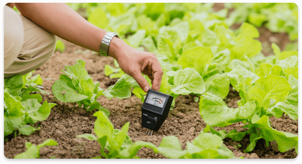 Soil pH testing