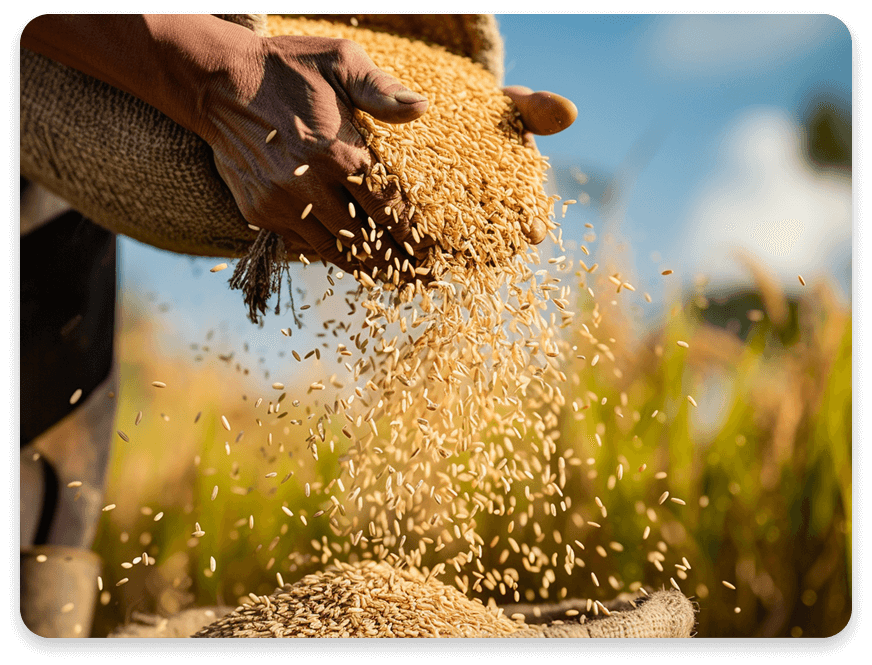 farmer-about