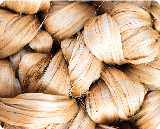 jute